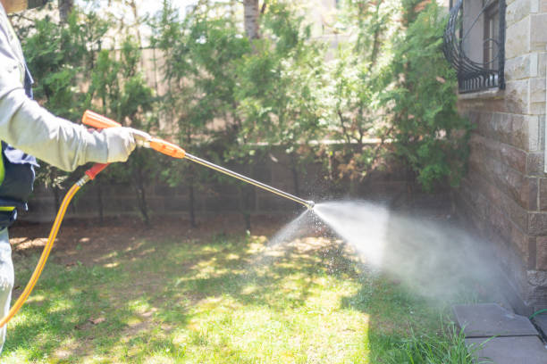 Best Best Pest Control Companies  in Ridgetop, TN