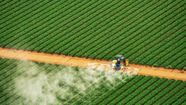 Reliable Ridgetop, TN Pest Control Solutions